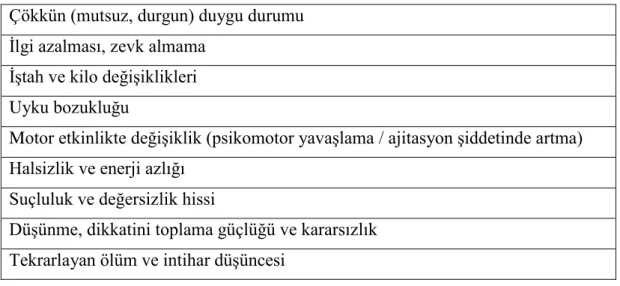 Şekil 14. Depresyon Belirti ve Bulguları 