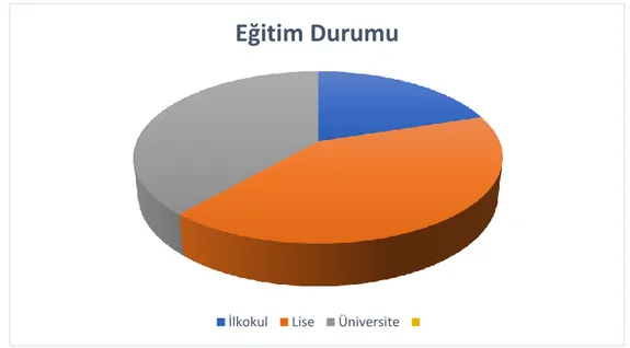 Şekil 16. Hemiplejik Hastaların Hemipleji Süresine Göre Dağılımı 