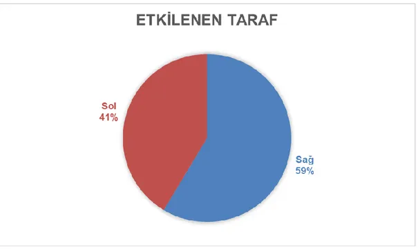 Şekil 18. Hemiplejik hastaların SVO tipine göre dağılımı 