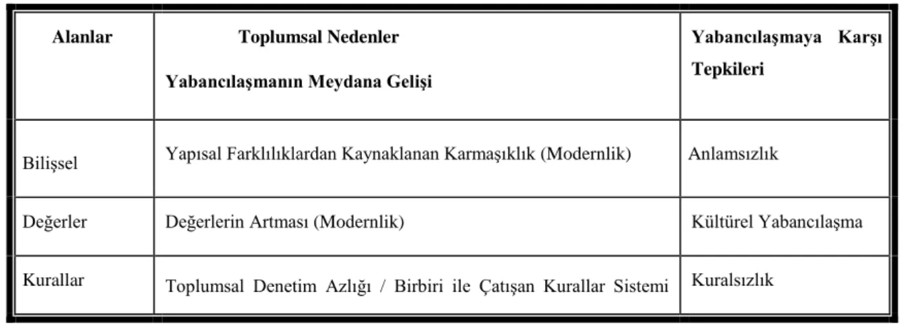 Çizelge 2.1: Yabancılaşma Paradigması 