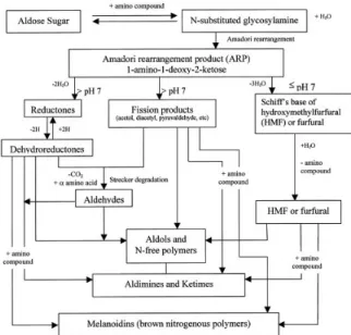 Figure 1: The schema of the Maillard reaction, 