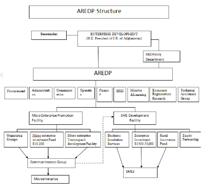 Figure 2.1: Organization Chart of AREDP 