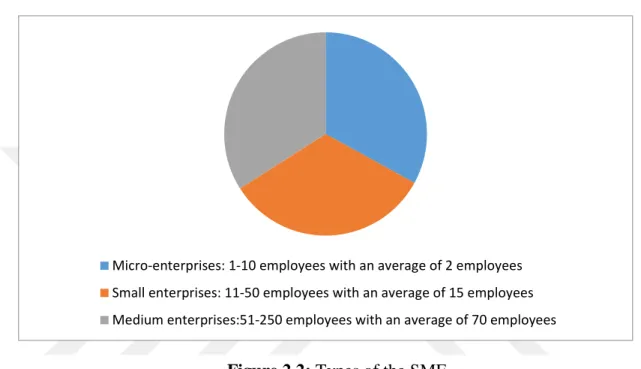 Figure 2.2: Types of the SME  2.1.6 Role of SME Unite 