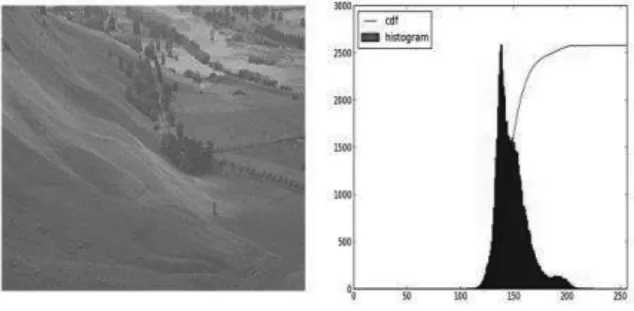 Figure 2. Before Histogram Equalization [3] 