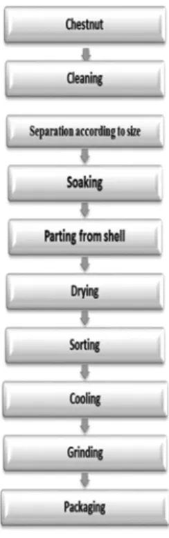 Figure 3. Chestnut flour production steps