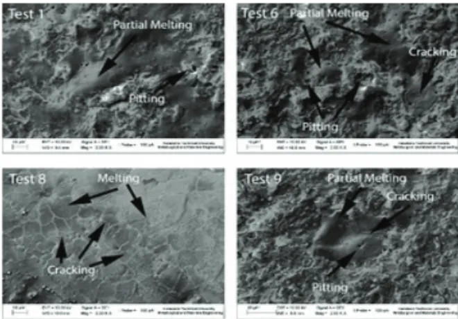 Figure 3. SEM image of control group