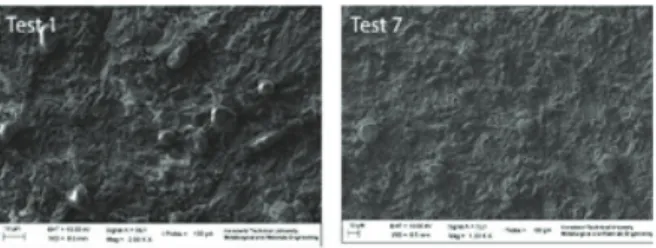 Figure 4. Cellular morphology of some of the  test groups