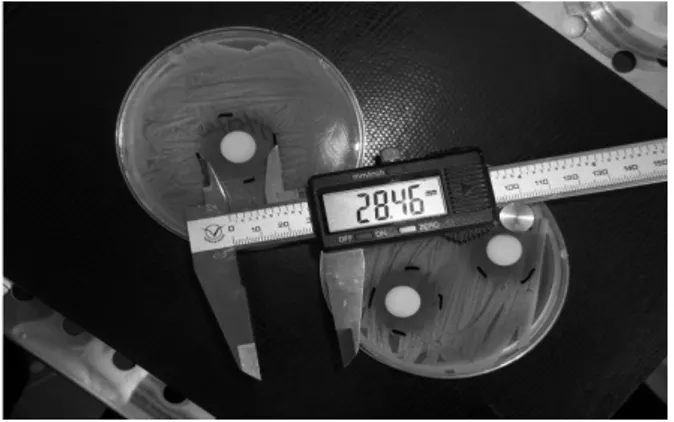 Figure 1. Measuring the inhibition zone with  a digital caliper