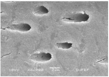 Figure 1. Control Group