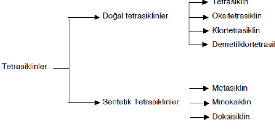 Şekil 2.2: Tetrasiklin Çeşitleri (Cingi ve diğ., 1996) 