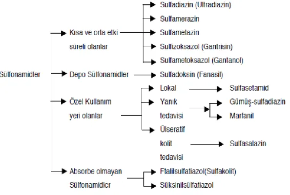 Şekil 2.4: Sülfonamid Çeşitleri (Cingi ve diğ., 1996)  