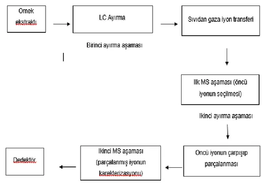 Şekil 2.5: LC-MS/MS‟in öncü ürün iyonu belirlenmesindeki aşamaları 