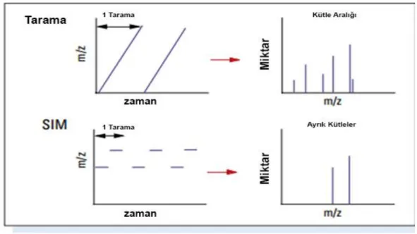 Şekil 2.9: Tarama ve SIM için elde edilen veriler (Anonim,2001). 
