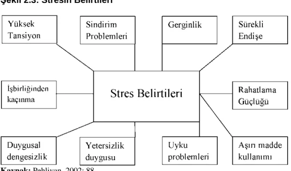 Şekil 2.3: Stresin Belirtileri 