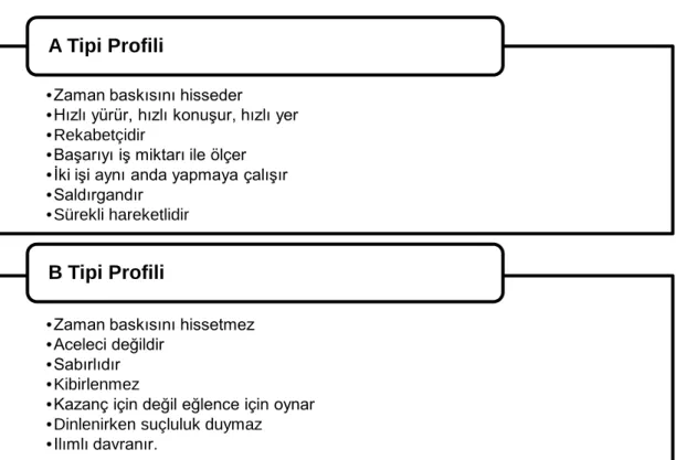 Şekil 2.5: A ve B Tipi Kişilik Özellikleri 