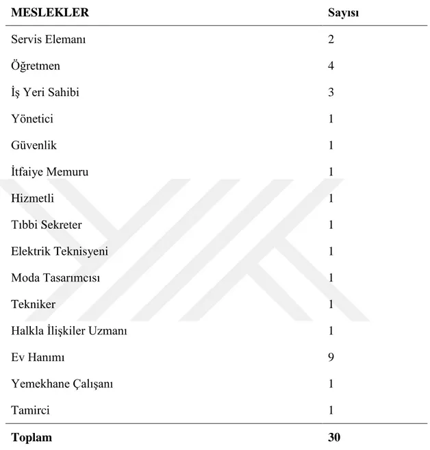 Çizelge 3.2: Katılımcıların meslek durumlarına göre dağılımları 