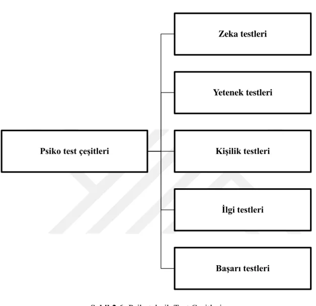 Şekil 2.6: Psikoteknik Test Çeşitleri  Kaynak: (Göktaş, 2010)
