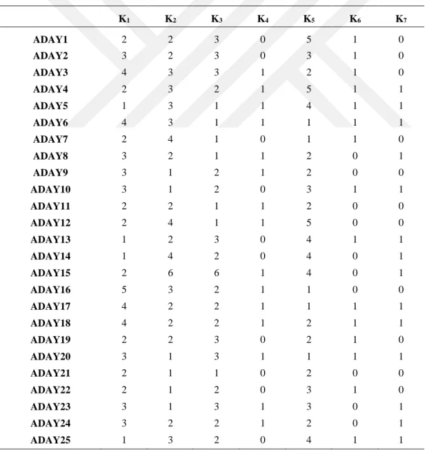 Çizelge 3.2: Karar Matrisi 