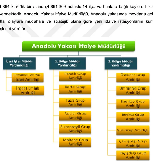 Şekil 4.3. Anadolu Yakası İtfaiye Müdürlüğü Organizasyon Şeması  (http://www.ibb.gov.tr/tr-TR/ kurumsal/ 