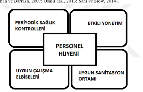 Şekil 2.2: Personel Hijyeni 