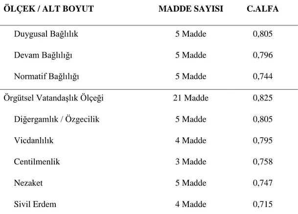 Çizelge 6.  (devamı) Güvenilirlik Analizi Sonucu 