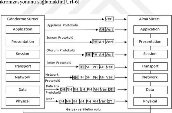 Şekil 2.1.’de bilgilerin katmanlar arasında işleme tabi tutulurken biçimsel olarak almış  olduğu  değişiklikler  görülmektedir