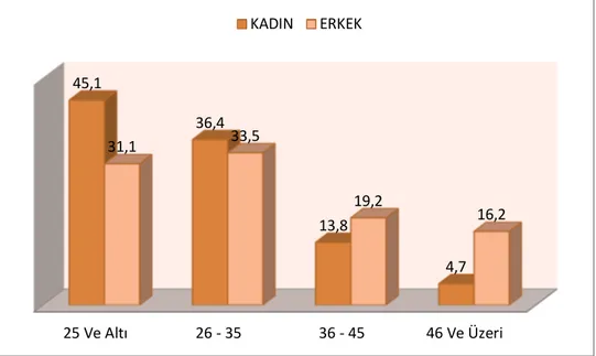 Şekil 4: Yaşa İlişkin Gruplandırma 