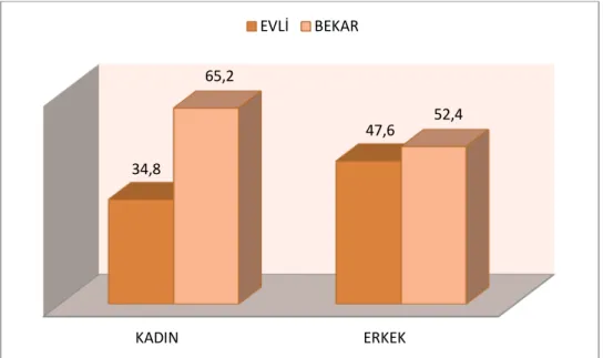 Şekil 5: Medeni Duruma İlişkin Gruplandırma 