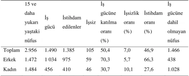 Çizelge 4.2‟de 2013 yılında Bursa‟da 6  yaĢın üzerinde okuma  yazma bilmeyen  hem kadın hem de erkeklerin okuma yazma nüfusu verilmiĢtir
