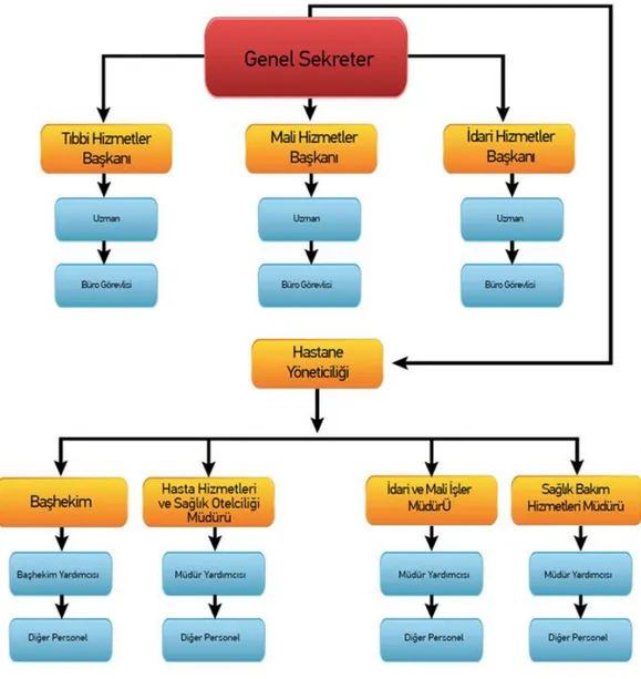 Şekil 2.3: Türkiye Kamu Hastaneleri Kurumu Taşra Organizasyon Şeması 