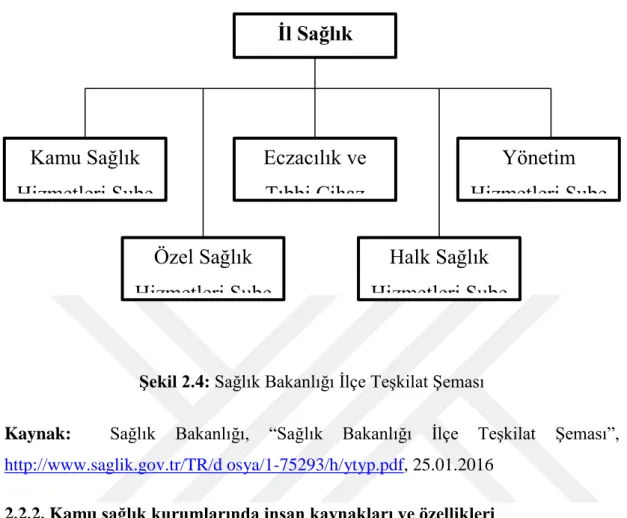 Şekil 2.4: Sağlık Bakanlığı İlçe Teşkilat Şeması 