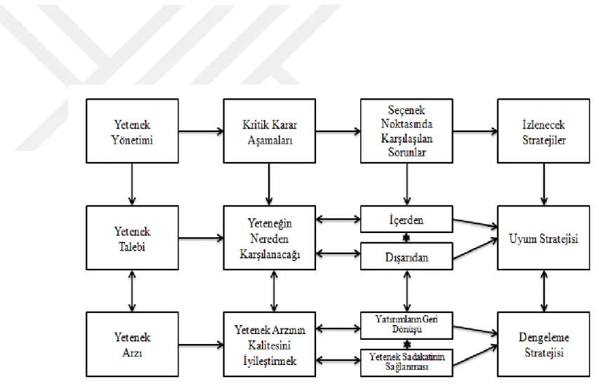 Şekil 2.6: Yetenek Yönetim Modeli  