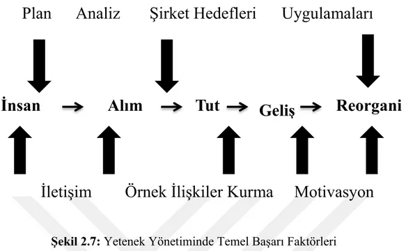 Şekil 2.7: Yetenek Yönetiminde Temel Başarı Faktörleri 