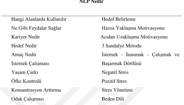 Çizelge 2.10: İstanbul Arel Üniversitesinin Kariyer aşamalarına yönelik programları  NLP Nedir 