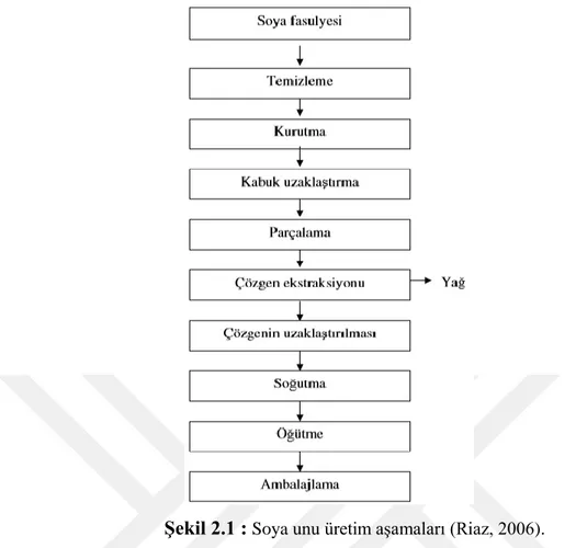 Şekil 2.1 :  Soya unu üretim aşamaları (Riaz, 2006). 