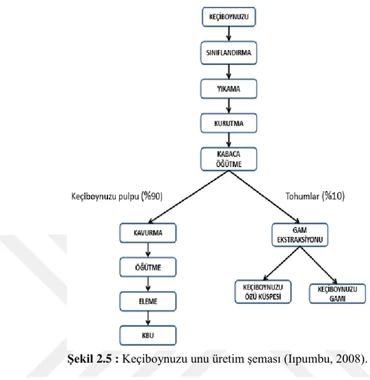 Şekil 2.5 : Keçiboynuzu unu üretim şeması (Iıpumbu, 2008). 