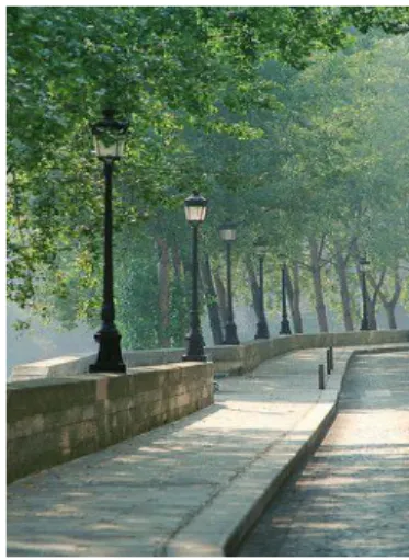 Şekil 3.3 : Paris, Fransa (URL 29) 