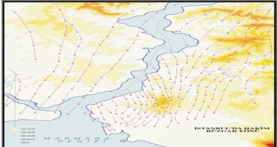 Şekil 4.5 : İstanbul ve Kadıköy’ün hakim rüzgar yönü  4.3.4.2 Yağış ve nem 