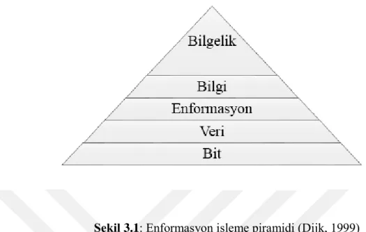 Şekil 3.1: Enformasyon işleme piramidi (Dijk, 1999) 