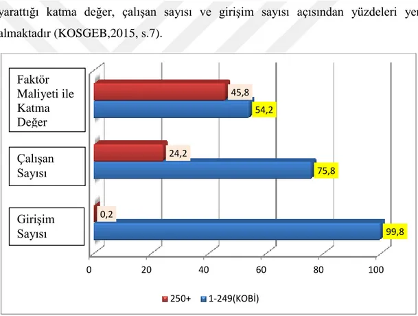 Şekil 2.1 Büyüklük Grubuna Göre Girişim Sayısı, İstihdam ve FMKD’in Dağılımı,  2012 