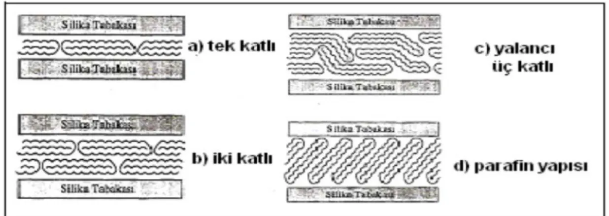 Şekil 2.11: Tabakalar arası alanda kuarterner amonyum katyonlarının yönlenme  şekilleri (Kanat, 2013)