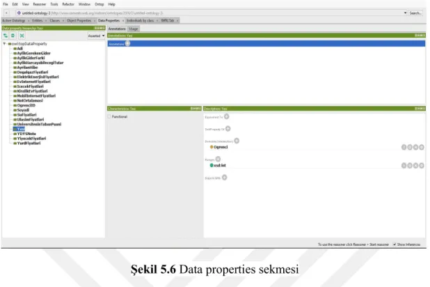 Şekil 5.6 Data properties sekmesi 