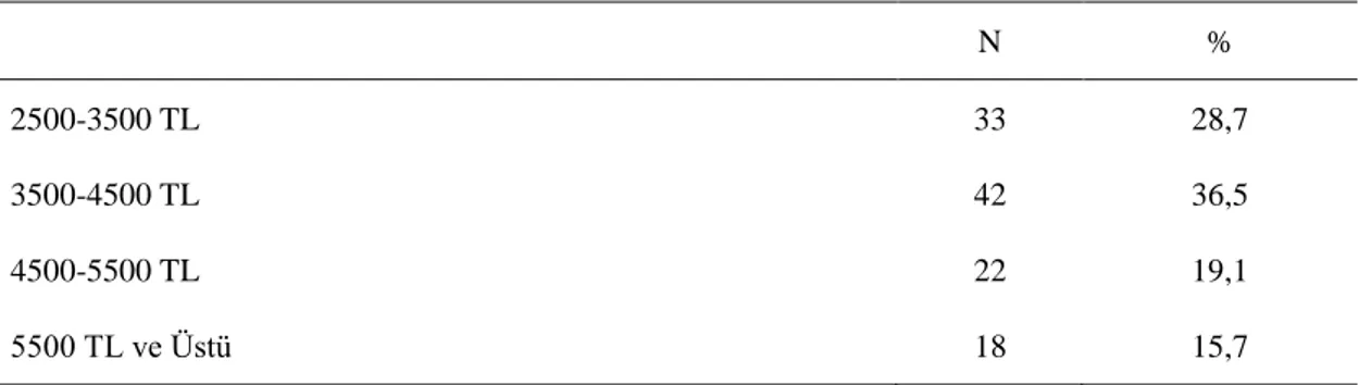 Çizelge 6: Katılımcıların Gelir Düzeyleri 