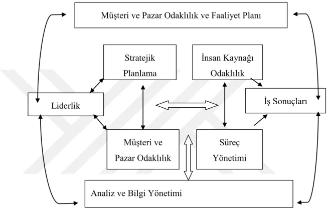 Şekil 3.3 : Müşteri ve Pazar Odaklılık Faaliyet Planı 