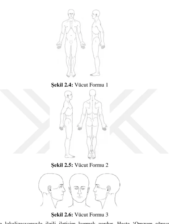 Şekil 2.4: Vücut Formu 1 
