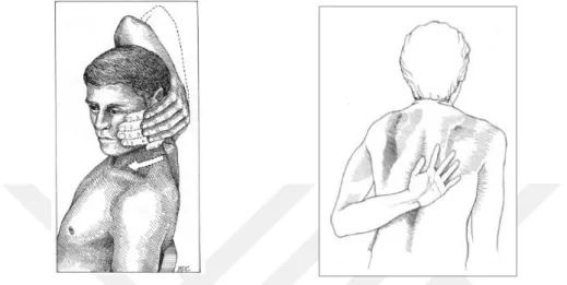 Şekil 2.8: Mouth-Wrap-Around Test          Şekil 2.9: Hand-To-Shoulder-Blade Test 