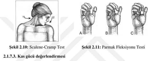 Şekil 2.10: Scalene-Cramp Test                Şekil 2.11: Parmak Fleksiyonu Testi  2.1.7.3