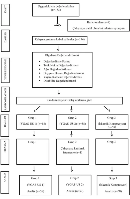 Şekil 3.1: Klinik Çalışma Diagramı