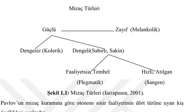 Şekil 1.1: Mizaç Türleri (Батаpшев, 2001). 