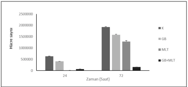 Şekil 3.1: Hücre sayıları 